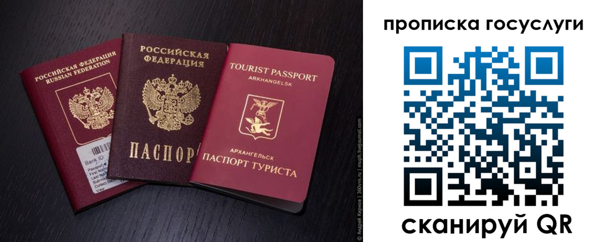 прописка 2025 в Соколе